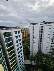Blk 690C Woodlands Drive 75 (Woodlands), HDB 5 Rooms #524356971